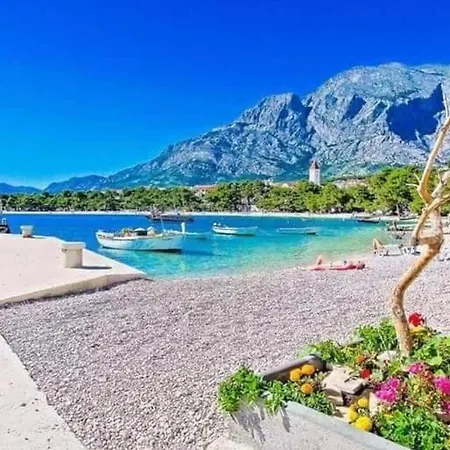 Solu * פרומאינה